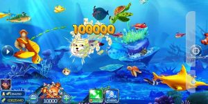 Bắn Cá H5 Cùng Những Thông Tin Cơ Bản Nhất Về Cổng Game